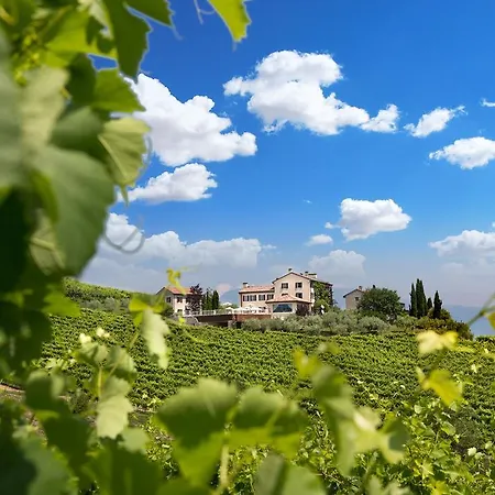 Prosecco Apartament *