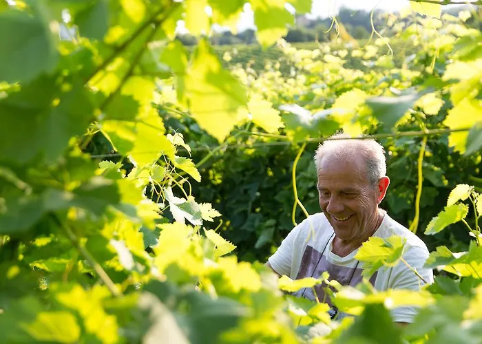 アパート Prosecco