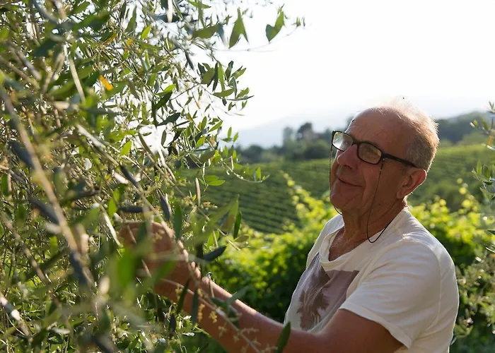 Prosecco 아파트 *