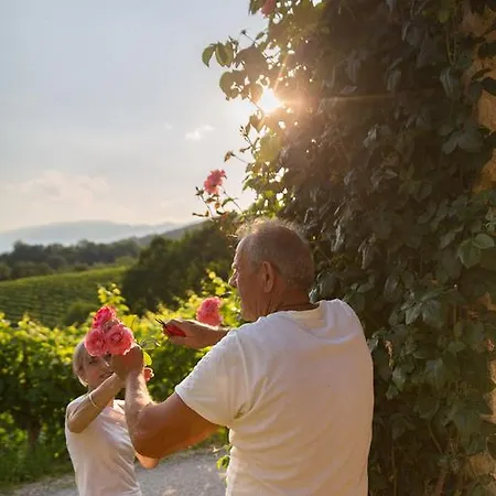 Prosecco